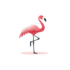 Flamingo isolated on white background. Vector illustration in flat style.