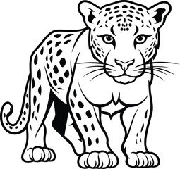 Leopard - Wild Animal Vector Illustration - Black and White Cartoon Style