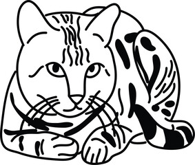 Organic Cat vector outline