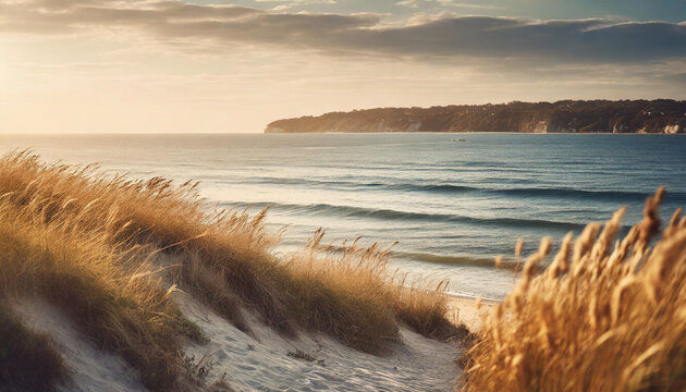 seaside scene with dry grass, bathed in warm sun tones, featuring soft shadows, creating a calm and serene atmosphere