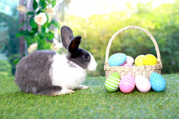 Cute fluffy white with black spot rabbit with long ears with colorful easter eggs basket in flower garden, bunny animal on green grass with easter egg. Happy spring celebration holiday festival.