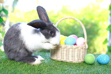 Cute fluffy white with black spot rabbit with long ears with colorful easter eggs basket in flower garden, bunny animal on green grass with easter egg. Happy spring celebration holiday festival.