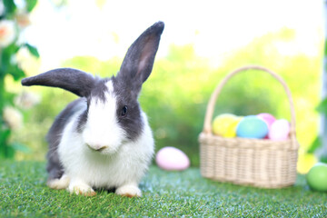 Cute fluffy white with black spot rabbit with long ears with colorful easter eggs basket in flower garden, bunny animal on green grass with easter egg. Happy spring celebration holiday festival.