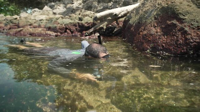 A biologist dives between the rocks of Morcego beach during a fauna survey in Niter&oacute;i. Rio de Janeiro, Brazil