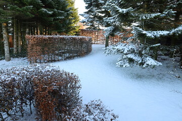 winter in the garden