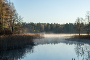 sunny spring landscape with calm lake, first green of spring in trees and grass