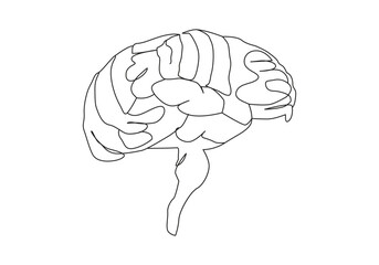 brain Continuous one line drawing. Human brain monoline design. Hand drawn minimalism style.
