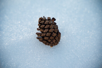 A close-up of a snowy pineapple resting on bright white snow.