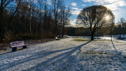 winter landscape, snowy ground, trees, grass