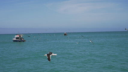 As the warm summer sun sets over the vast ocean, a group of birds soar gracefully above the shimmering water, while people enjoy swimming, surfing, and boating on the peaceful surface below