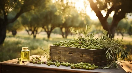 Zelfklevend Fotobehang Olive harvest. Green olives in a wooden box against the background of an olive tree plantation. Beautiful bokeh of nature, sunlight. Olive growing, agribusiness, agriculture © FoxTok