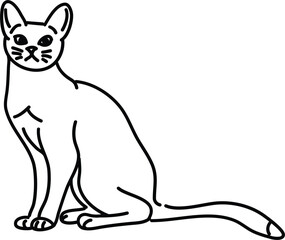 Organic Cat vector outline