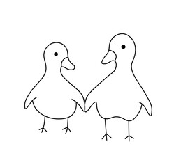 Vector isolated two pair couple cute cartoon funny ducks  colorless black and white contour line easy drawing