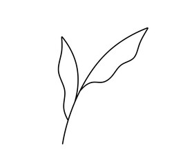 Vector isolated simple tiny little two leaves colorless black and white contour line easy drawing