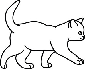 Organic Cat vector outline