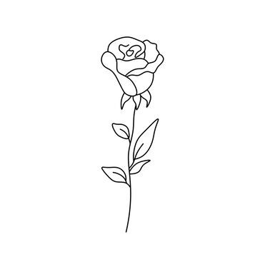 Vector isolated one single rose bud with stem and leaves  colorless black and white contour line easy drawing
