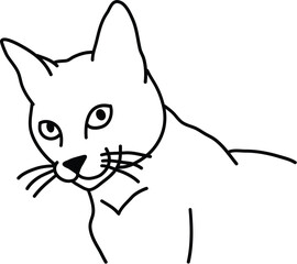 Organic Cat vector outline