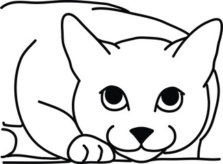 Organic Cat vector outline