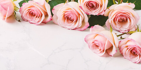 Elegant Pink Roses on Marble Surface, banner, background, copy space