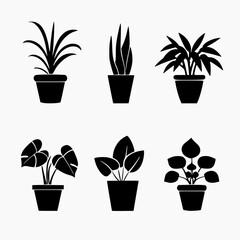 set of indoor ornamental plant icons, white background
