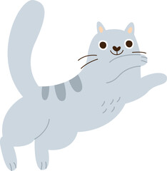 Cat Animal Jumping
