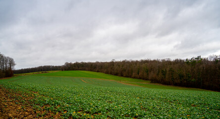 Panorama in a rural landscape in the French Ardennes
