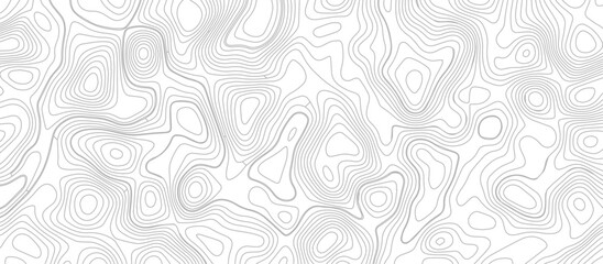 Abstract topographic Contour Map Subtle White Vector Background . Blank Detailed topographic patter line map background .Topographic Map Of Wild West Abstract Vector Background.	