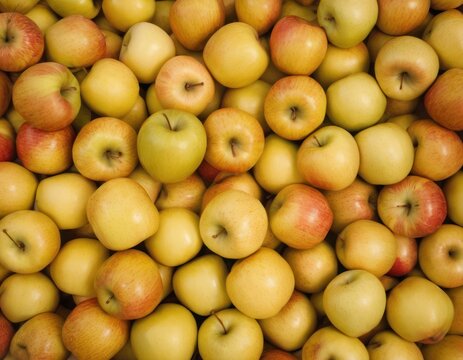 an image of apples in a pile with one on top