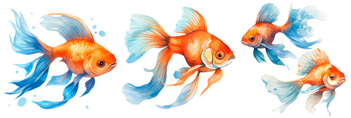 Set of blue watercolor goldfish, isolated on transparent background