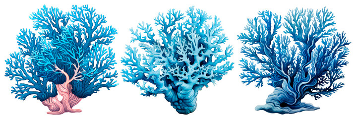 Set of watercolor single blue coral, isolated on transparent background