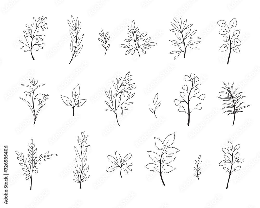 Sticker set of simple doodles of flowers and twigs. sketch of branch, foliage,leaves, berries