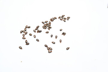 Castor seeds on white background. Ricinus communis, the castor bean or palma christi is a species...