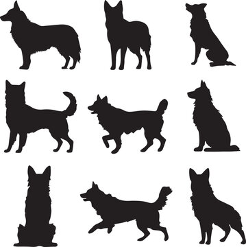 Border Collie Dog Silhouettes