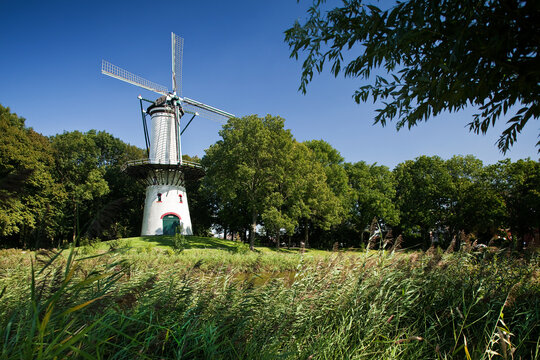 Molen De Hoop in het stadje Tholen is een stellingmolen uit 1736. De molen staat aan het water van de oude stadsomgrachting aan een wandelpad 