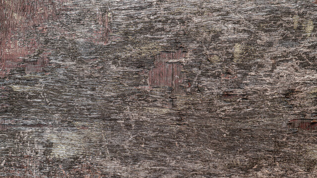 Surface texture of old plywood with traces of paint in panoramic format.