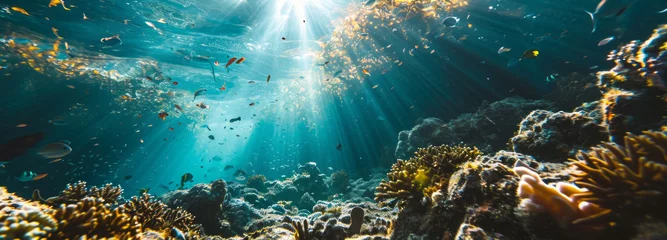Foto op Plexiglas Sunbeams cascade through the clear blue waters of a vibrant coral reef teeming with diverse fish, creating a mesmerizing underwater dance of light and life © DJSPIDA FOTO
