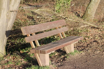 Wooden bench to rest in the forest
