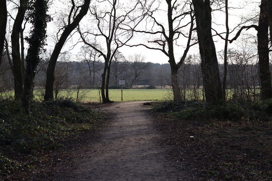 Forest path to Schwanheimer Wiese in winter