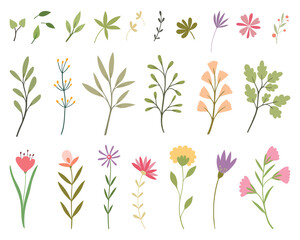Wild flowers vector collection.