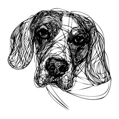 Messy line drawing of a beagle dog's face