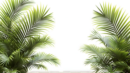 Realistic palm leaves shrubs corner on transparent backgrounds  - obrazy, fototapety, plakaty