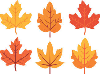 Obraz premium Simple Autumn leaves set vector, isolated on white background. Design for stickers, logo, web and mobile app.