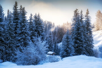 Fototapeta na wymiar Beautiful winter mountain landscape with wooden gazebo, spruce forest and fresh snow. Kimasar gorge in Almaty, Kazakhstan.