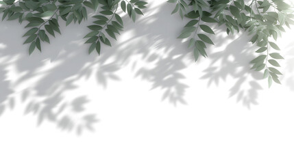 Shadow spa leaves flowing movement isolate transparent backgrounds 