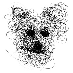Messy line drawing of a poodle dog's face