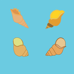Beige seashells on the cyan background