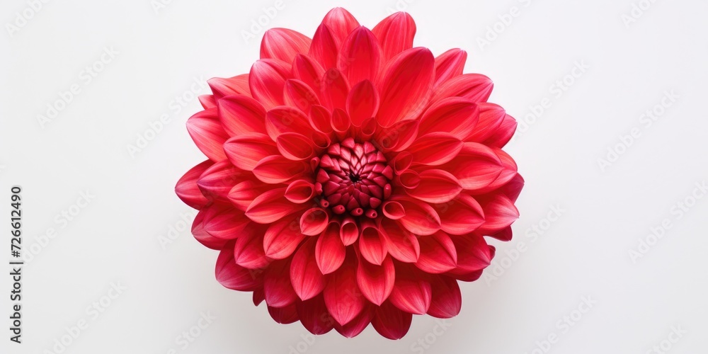 Poster a simple and elegant image of a single red flower placed on a clean white surface. perfect for addin