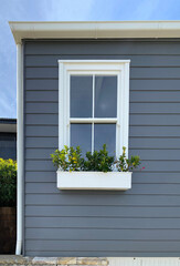 Window with shutters and yellow flowers. Part of the facade of a building with gray wooden laths, a white window and a flowerpot underneath.