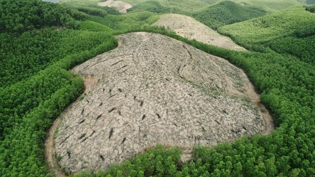 Aerial view of a deforested hill surrounded by lush green forest showcasing environmental contrast between reforestation and land erosion