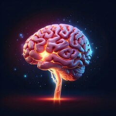 Fototapeta premium Glowing Human Brain Depiction Against a Dark Blue Backdrop Illustrating Neural Activity